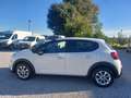 Citroen C3 N1 Business 1.5cc 100 CV E6 S&S Bianco - thumbnail 8