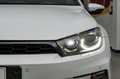 Volkswagen Scirocco 2.0 TSI 180cv DSG ALLSTAR White - thumbnail 21