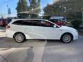 Ford Mondeo 1.6 TDCi 115 CV Start&Stop SW Business Bianco - thumbnail 10