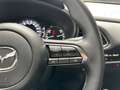Mazda CX-30 Homura Navi, ACC, Klima Grau - thumbnail 14