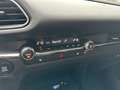 Mazda CX-30 Homura Navi, ACC, Klima Grau - thumbnail 17