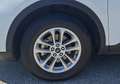 Ford Kuga 2,5 Duratec PHEV Cool & Connect Aut. Weiß - thumbnail 5