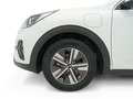 Kia Niro 1.6 GDi PHEV 104kW (141CV) Drive Blanco - thumbnail 22
