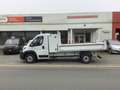 Fiat Ducato BENNE 140CV BVM6 PRO LOUNG Blanc - thumbnail 1