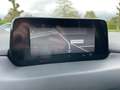 Mazda CX-5 4WD AUTOMAAT / Leder / Navigatie / Bose audio/... Rood - thumbnail 11