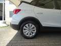 SEAT Arona 1.0 ECOTSI 95 CV STYLE Blanco - thumbnail 9