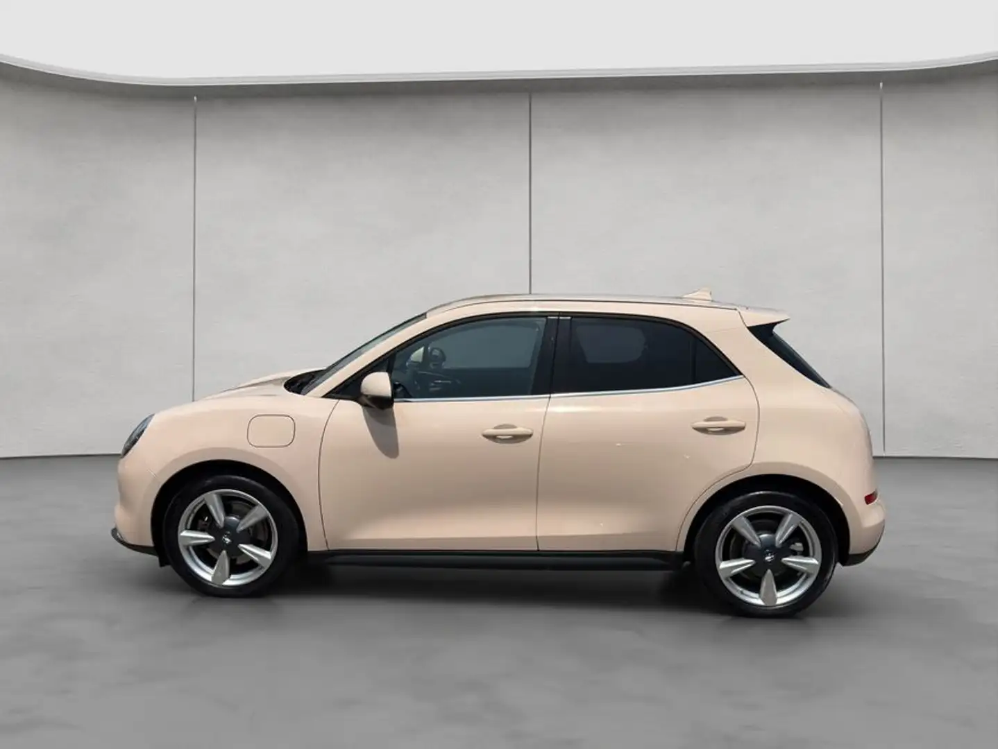 Ora Funky Cat GWM ORA 03 (ehemals Funky Cat) 300 Pro Beige - 2