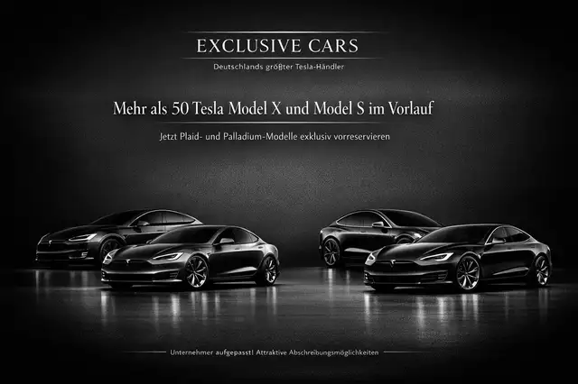 Tesla Model X MODEL X PLAID | HARWARE 4 | YOKE | 6SEAT | 22