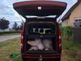 Fiat Doblo Doblo 1,6 16V JTD Multijet E5 lang DPF Rot - thumbnail 7