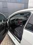 Volkswagen Golf VII Lim. GTI Performance BMT*Akrapovic Blanc - thumbnail 10