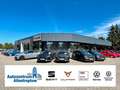 Volkswagen Passat Variant 2.0 TDI DSG Business NAVI KAMERA Grau - thumbnail 19
