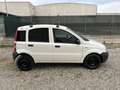 Fiat Panda 1.3 MJT DPF Van 2 posti- NON HA IVA- CLIMA Білий - thumbnail 3