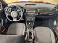 Volkswagen Beetle Cabriolet 1.2 TSI Sitzheizung PDC Rojo - thumbnail 10