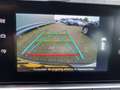 Citroen C4 Cactus 1.2 PureTech Business 157Dkm. Clima, Stoelvw, CC, Wit - thumbnail 13
