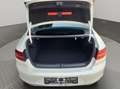 Volkswagen Passat Lim. Highline 4Motion *Leder*Dynaudio* White - thumbnail 19