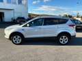 Ford Kuga 2,0 TDCi Titanium 4x4 Gris - thumbnail 8