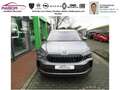 Skoda Kodiaq 2.0 TDI 4x4 DSG Selection,in Geldern Grau - thumbnail 4