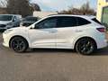 Ford Kuga ST-Line X 2.0 EcoBl AWD *AHK/ACC/PANO/B&O Weiß - thumbnail 8