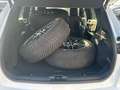 Ford Kuga ST-Line X 2.0 EcoBl AWD *AHK/ACC/PANO/B&O Weiß - thumbnail 22