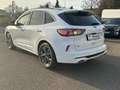 Ford Kuga ST-Line X 2.0 EcoBl AWD *AHK/ACC/PANO/B&O Weiß - thumbnail 7