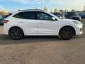 Ford Kuga ST-Line X 2.0 EcoBl AWD *AHK/ACC/PANO/B&O Weiß - thumbnail 4