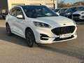 Ford Kuga ST-Line X 2.0 EcoBl AWD *AHK/ACC/PANO/B&O Weiß - thumbnail 3