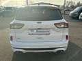Ford Kuga ST-Line X 2.0 EcoBl AWD *AHK/ACC/PANO/B&O Weiß - thumbnail 6