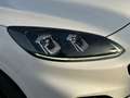Ford Kuga ST-Line X 2.0 EcoBl AWD *AHK/ACC/PANO/B&O Weiß - thumbnail 24