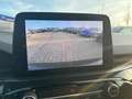 Ford Kuga ST-Line X 2.0 EcoBl AWD *AHK/ACC/PANO/B&O Weiß - thumbnail 17