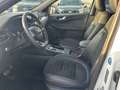 Ford Kuga ST-Line X 2.0 EcoBl AWD *AHK/ACC/PANO/B&O Weiß - thumbnail 10