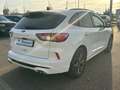 Ford Kuga ST-Line X 2.0 EcoBl AWD *AHK/ACC/PANO/B&O Weiß - thumbnail 5
