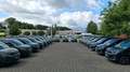 Citroen Berlingo MPV Blue 110 S&S M AHK 11xSOFORT VERF. Grün - thumbnail 19
