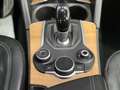 Alfa Romeo Stelvio 2.2 Super Q4 210 Aut. Gris - thumbnail 18