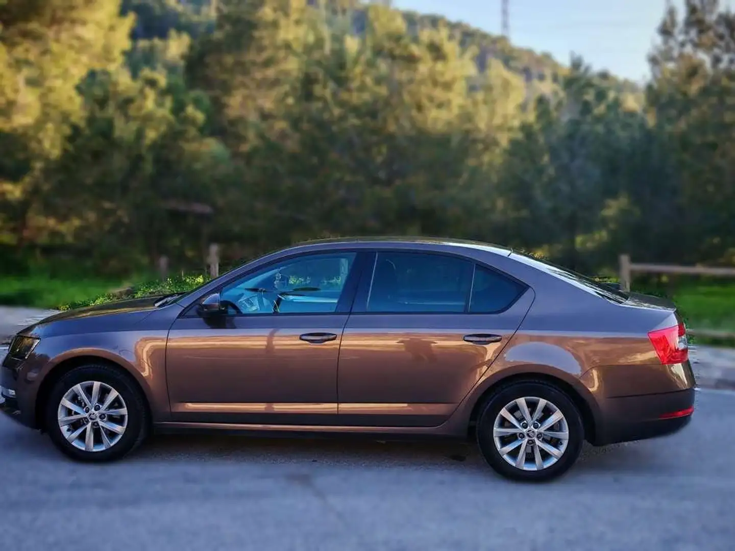 Skoda Octavia 1.4 TSI 110cv GNC Ambition Marrón - 2