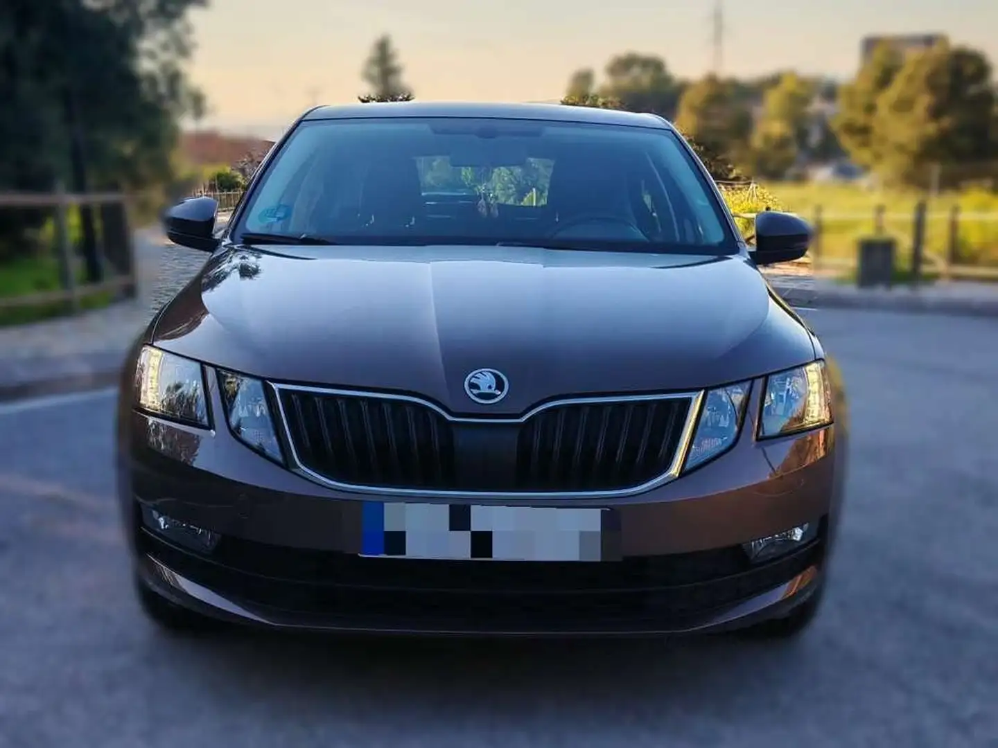 Skoda Octavia 1.4 TSI 110cv GNC Ambition Marrón - 1
