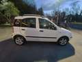 Fiat Panda Panda II 1.3 mjt 16v Classic 75cv Wit - thumbnail 4