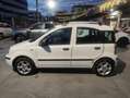 Fiat Panda Panda II 1.3 mjt 16v Classic 75cv Wit - thumbnail 3