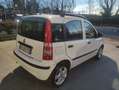 Fiat Panda Panda II 1.3 mjt 16v Classic 75cv Wit - thumbnail 12