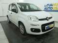 Fiat Panda 1.3 mjt 16v Easy s&s 95cv Bianco - thumbnail 2