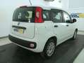 Fiat Panda 1.3 mjt 16v Easy s&s 95cv Bianco - thumbnail 3