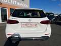 Mercedes-Benz B 200 B 200 d (247.012) Weiß - thumbnail 22
