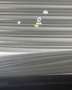 Mercedes-Benz E 220 E220 d 4Matic Avantgarde Widescreen*Head-Up*360° Schwarz - thumbnail 15