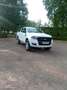 Ford Ranger Doppelkabine XL 4x4 2,2 TDCi - thumbnail 4