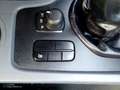 Ford Ranger Doppelkabine XL 4x4 2,2 TDCi - thumbnail 13