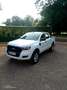 Ford Ranger Doppelkabine XL 4x4 2,2 TDCi - thumbnail 7