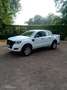 Ford Ranger Doppelkabine XL 4x4 2,2 TDCi - thumbnail 3