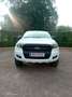 Ford Ranger Doppelkabine XL 4x4 2,2 TDCi - thumbnail 6