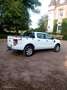 Ford Ranger Doppelkabine XL 4x4 2,2 TDCi - thumbnail 2