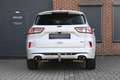 Ford Kuga 2.5 PHEV ST-Line X|parelmoer wit|Carplay|Winterpak Blanc - thumbnail 11