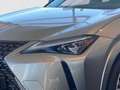 Lexus UX 300e 2.0 Hybrid Entry + Luxury-Paket + HUD Argintiu - thumbnail 7